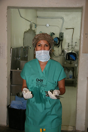 Antonio (Venturamd) > Flying Samaritans photo