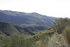 Antonio (Venturamd) > Los Padres/Angeles Forest loop photo