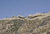 Antonio (Venturamd) > Los Padres/Angeles Forest loop photo