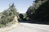 Antonio (Venturamd) > Los Padres/Angeles Forest loop photo