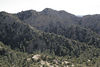 Antonio (Venturamd) > Los Padres/Angeles Forest loop photo
