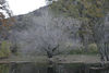 Antonio (Venturamd) > Los Padres/Angeles Forest loop photo