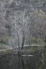 Antonio (Venturamd) > Los Padres/Angeles Forest loop photo