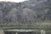 Antonio (Venturamd) > Los Padres/Angeles Forest loop photo